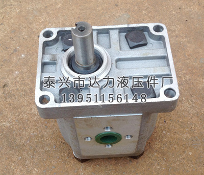 供应CBN-E325,CBN-E306,CBN-E312齿轮泵,CBN-E系列齿轮泵销售批发 - 供应CBN-E325,CBN-E306,CBN-E312齿轮泵,CBN-E系列齿轮泵销售批发厂家 - 供应CBN-E325,CBN-E306,CBN-E312齿轮泵,CBN-E系列齿轮泵销售批发价格 - 泰兴市达力液压件 - 
